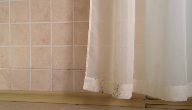 Best Mold Remediation for Healthcare Facilities  in Glencoe, AL