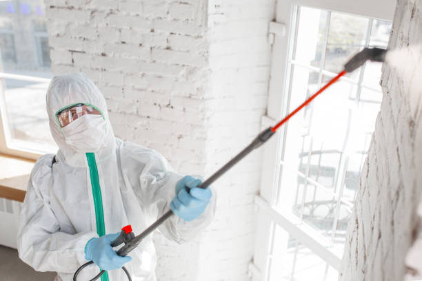 Best Residential Mold Inspection & Testing  in Glencoe, AL