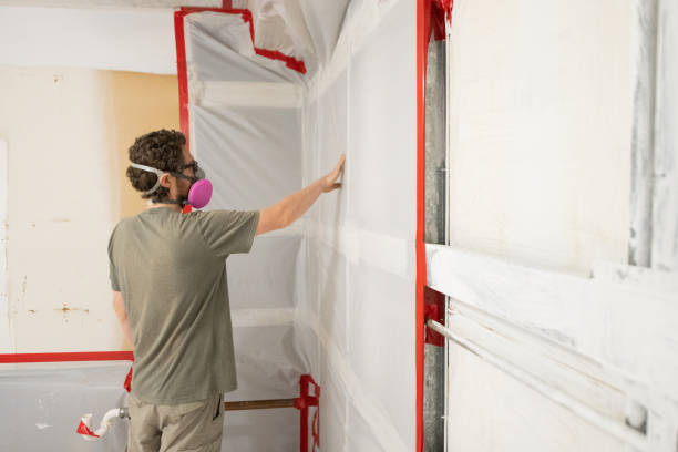 Forensic Mold Investigation in Glencoe, AL